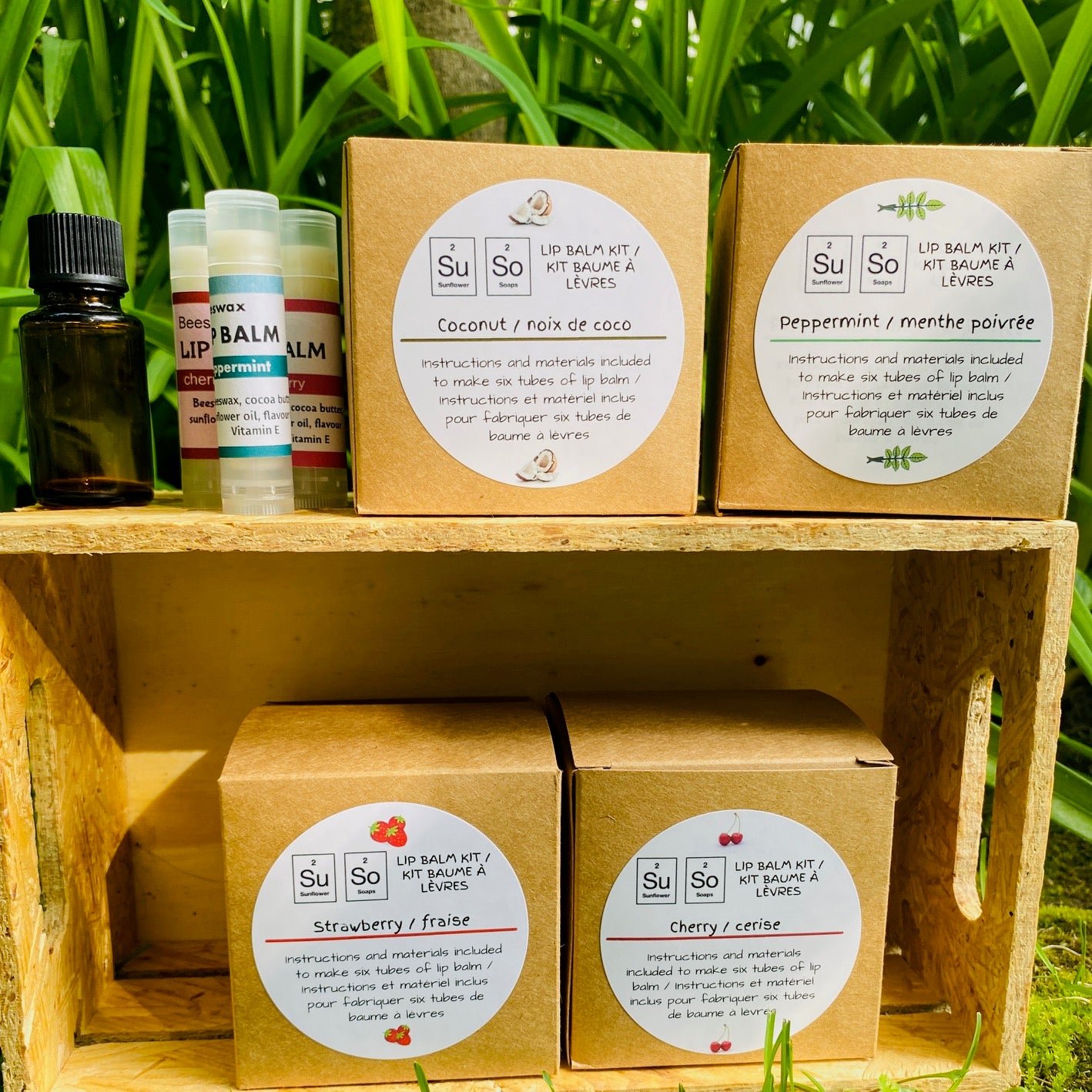 Do-It-Yourself Lip Balm Kit