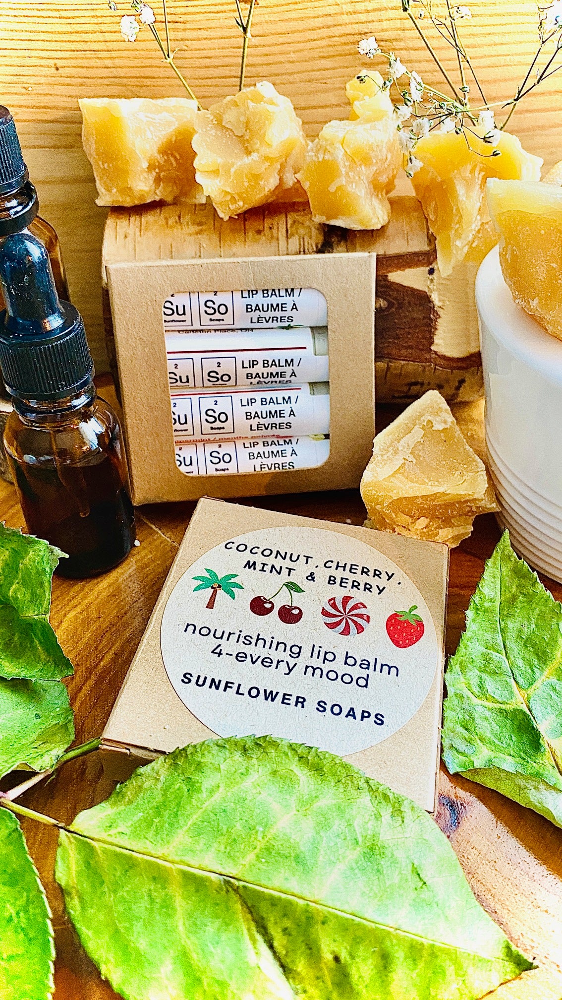 Lip Balm Gift Pack—Coconut, Cherry, Mint & Berry