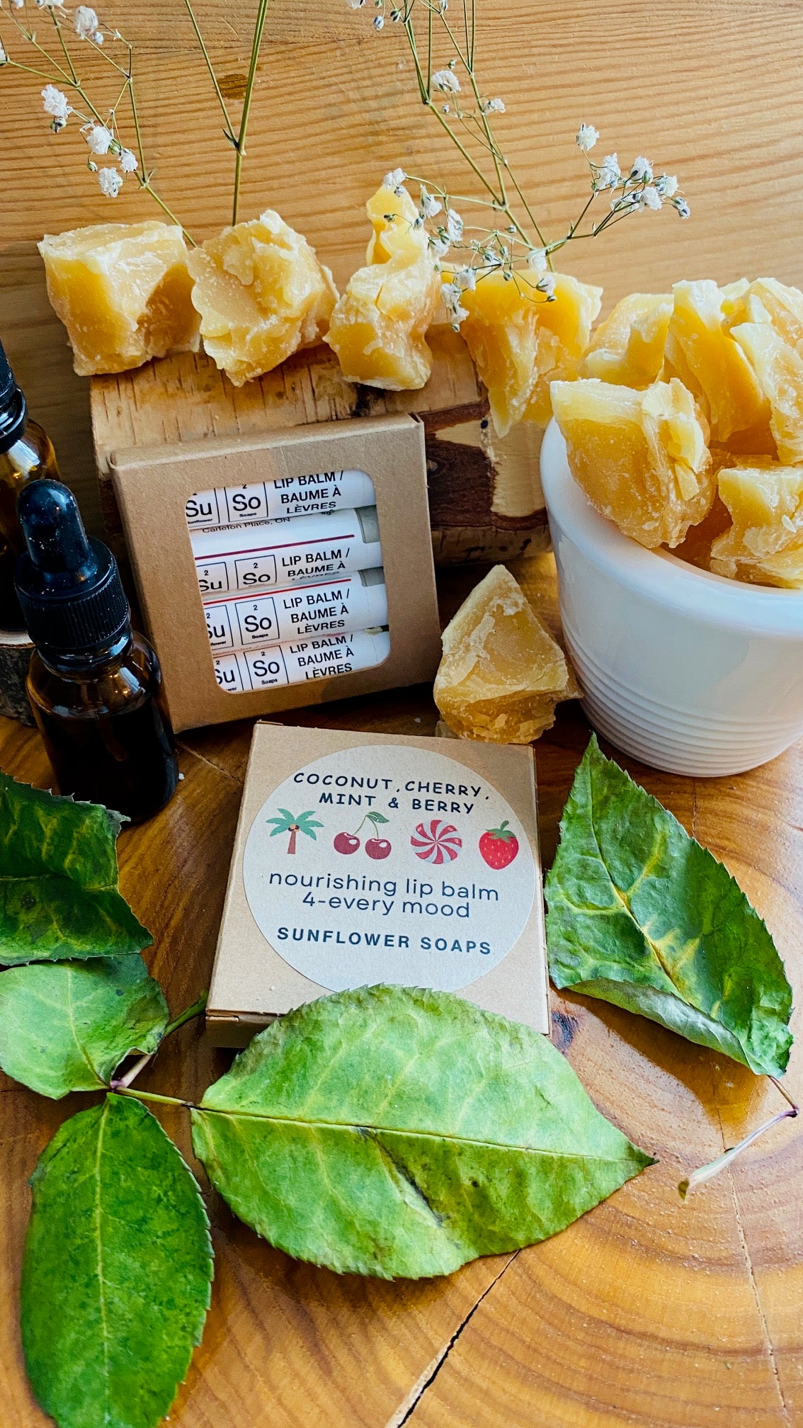 Lip Balm Gift Pack—Coconut, Cherry, Mint & Berry